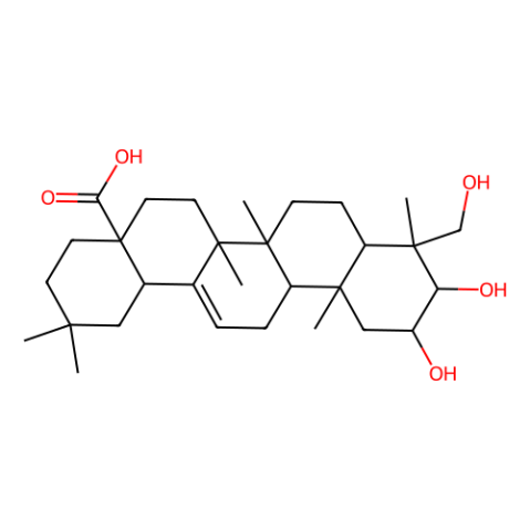 阿江榄仁酸,Arjunolic acid
