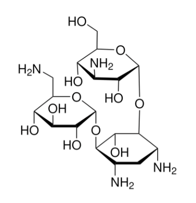 卡那霉素,Kanamycin