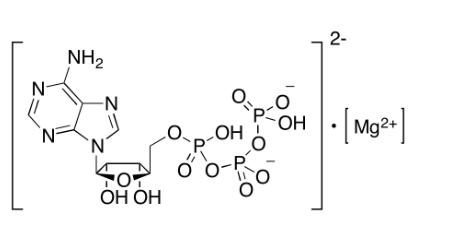 腺苷 5'-三磷酸镁盐,Adenosine 5′-triphosphate magnesium salt