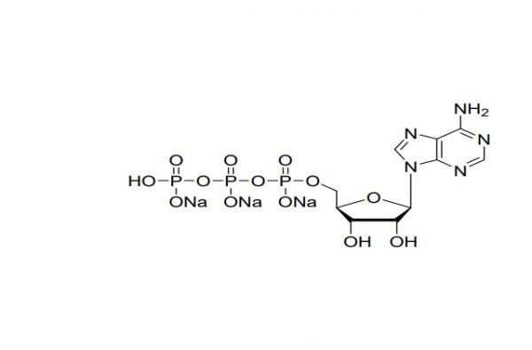 ATP 三钠盐  溶液,ATP Trisodium salt Solution