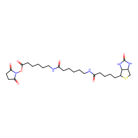 N-[6-(生物素氨基)己酰基]-6-氨基己酸N-琥珀酰亚胺酯,Biotinamidohexanoyl-6-aminohexanoic acid N-hydroxysuccinimide ester