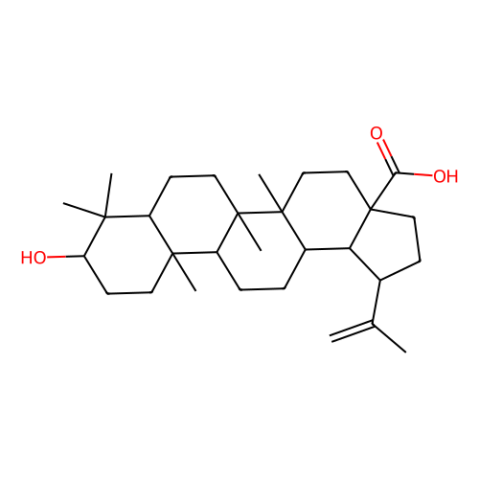 白桦脂酸,Betulinic acid