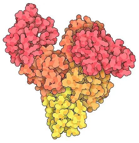 牛血清白蛋白，组分 V,Bovine serum albumin,Fraction V