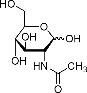 N-乙酰-D-氨基葡萄糖,N-Acetyl-D-glucosamine