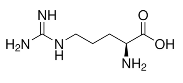 L-精氨酸,L-Arginine