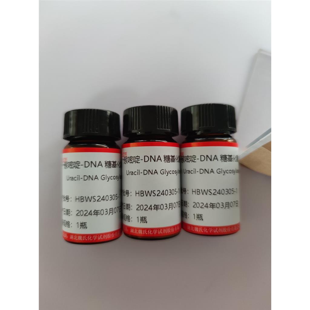 尿嘧啶-DNA 糖基化酶,Uracil-DNA Glycosylase