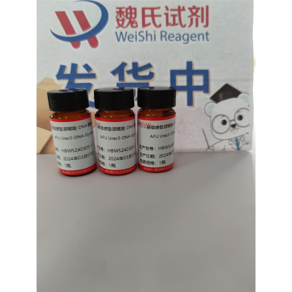 熱敏感型尿嘧啶-DNA 糖基化酶,AFU Uracil-DNA Glycosylase