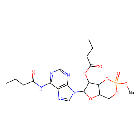 N6,2′-O-二丁?；佘?′,5′-環(huán)磷酸 鈉鹽,Dibutyryl-cAMP (Bucladesine)