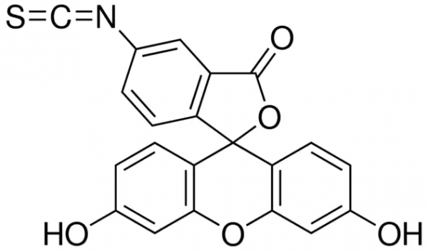 异硫氰酸荧光素,Fluorescein5(6)-isothiocyanate
