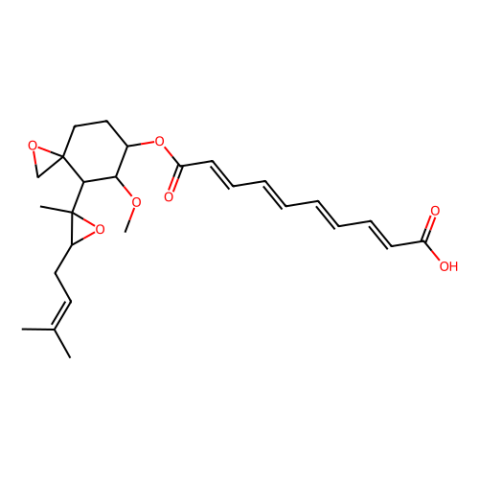 烟曲霉素,Fumagillin