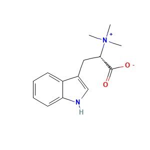 刺桐碱,Hypaphorine