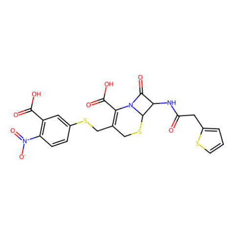 β-内酰胺酶,β-lactamase