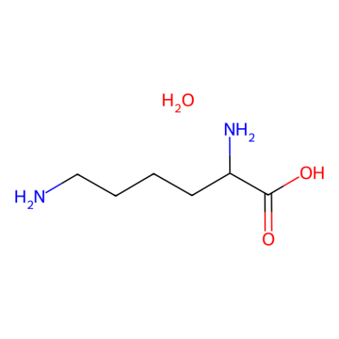 L-赖氨酸一水合物,L-Lysine monohydrate