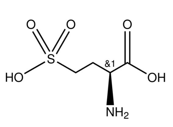 L-同型半胱氨酸,L-Homocysteic acid