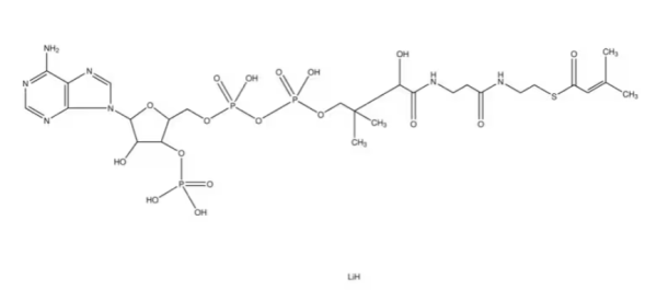 β-甲基巴豆酰基辅酶A锂盐,β-Methylcrotonyl coenzyme A lithium salt