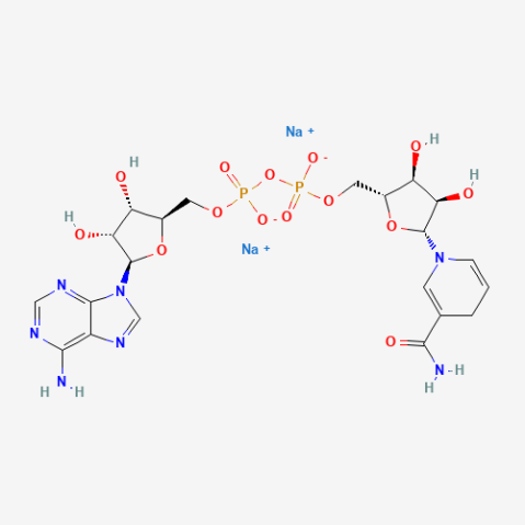 还原型辅酶I 二钠(β-NADH),β-NADH