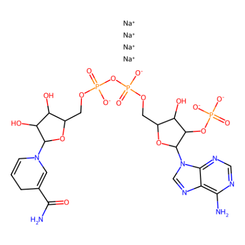 NADPH,辅酶,NADPH