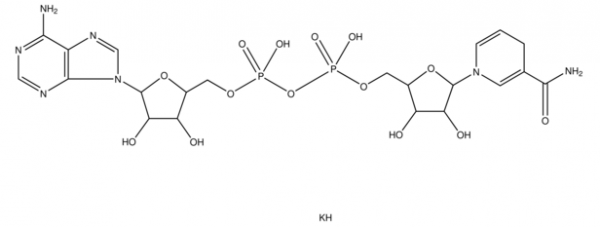 還原型 β-煙酰胺腺嘌呤二核苷酸 二鉀鹽,β-Nicotinamide adenine dinucleotide, reduced dipotassium salt