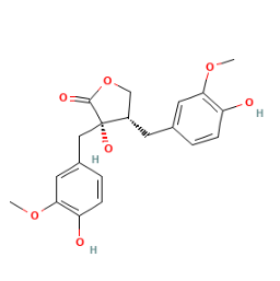 去甲肾上腺素原,Nortrachelogenin