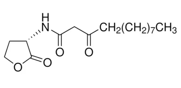 N-(3-氧代十二烷?；?-L-高絲氨酸內(nèi)酯,N-(3-Oxododecanoyl)-L-homoserine lactone