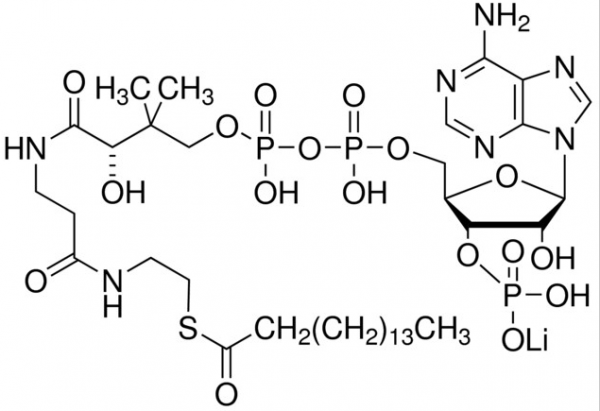 棕榈酰辅酶A锂盐,Palmitoyl coenzyme A lithium salt