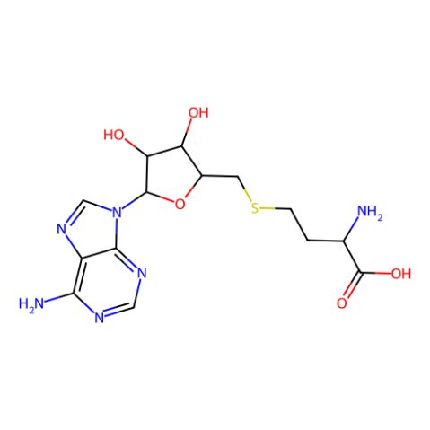 S-(5’-腺苷)-L-高半胱氨酸,S-(5′-Adenosyl)-L-homocysteine