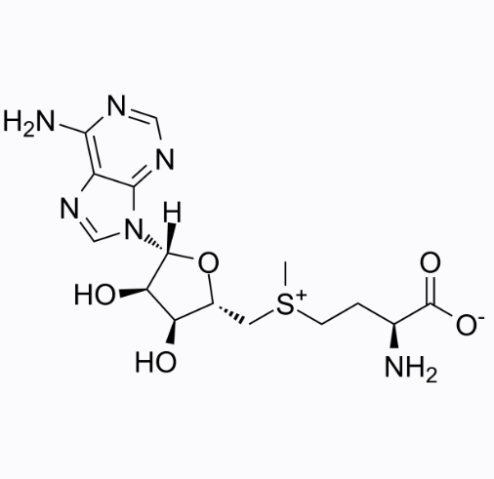 S-腺苷蛋氨酸,S-Adenosyl-L-methionine