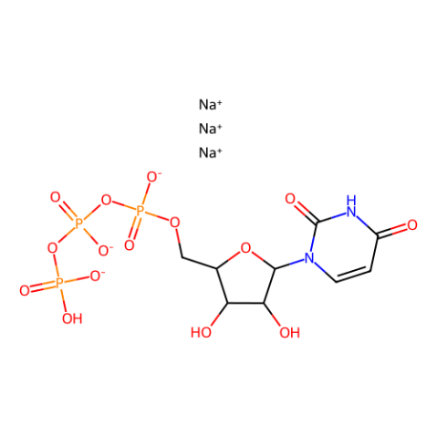 尿苷-5′-三磷酸酯 三钠盐 水合物,Uridine 5′-triphosphate trisodium salt hydrate