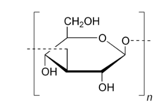 酵母聚糖A 来源于酿酒酵母,Zymosan A from Saccharomyces cerevisiae