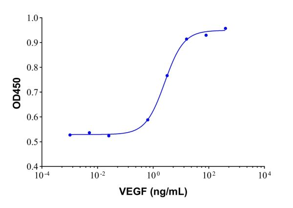 Recombinant Human VEGF Protein,Recombinant Human VEGF Protein