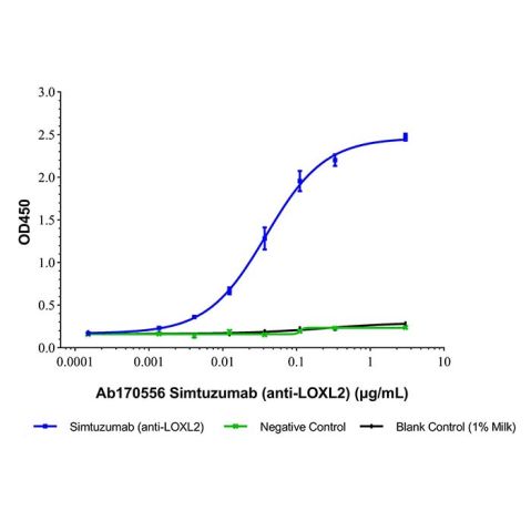 Simtuzumab (anti-LOXL2),Simtuzumab (anti-LOXL2)