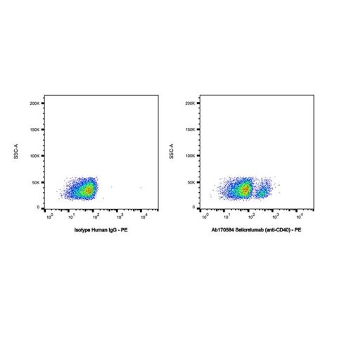 Selicrelumab (anti-CD40),Selicrelumab (anti-CD40)