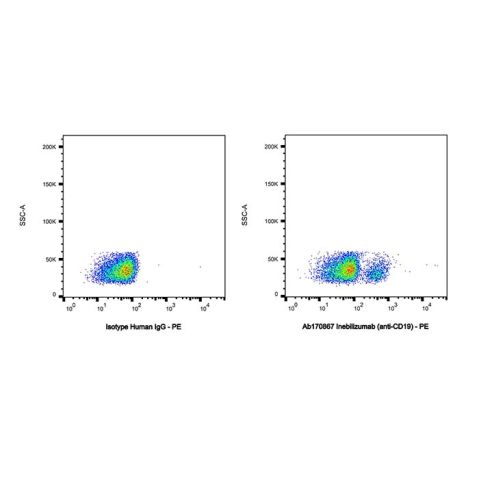 Inebilizumab (anti-CD19),Inebilizumab (anti-CD19)