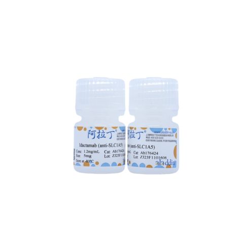 Idactamab (anti-SLC1A5),Idactamab (anti-SLC1A5)