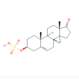 Dehydroepiandrosterone sulfate,Dehydroepiandrosterone sulfate