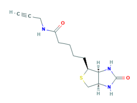 生物素炔烃,Biotin alkyne