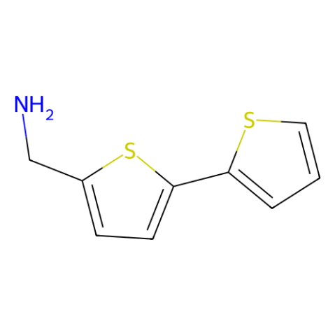 2,2'-联噻吩-5-甲胺,2,2'-Bithiophene-5-Methylamine