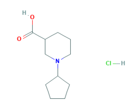 1-环戊基-3-哌啶甲酸盐酸盐,1-Cyclopentyl-3-piperidinecarboxylic acid hydrochloride