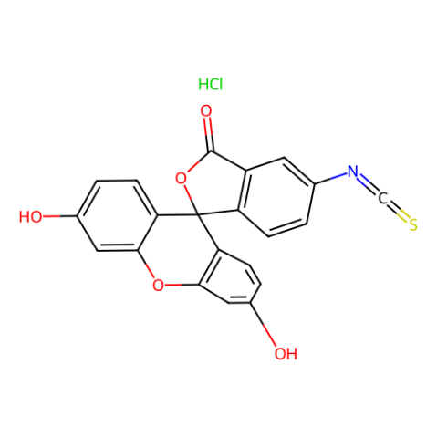 异硫氰酸荧光素I盐酸盐,Fluorescein isothiocyanate I hydrochloride