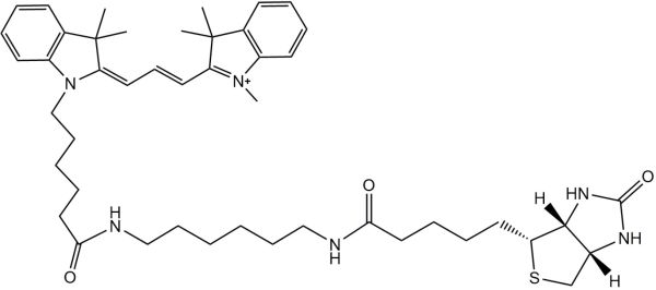 Cy3标记生物素,Biotin-Cy3 Conjugate