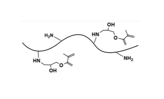 甲基丙烯酰化丝素蛋白,Methacrylated Silk Fibroin