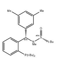 [S(R)]-N-[(S)-(3,5-二甲基苯基)[2-(二叔丁基膦)苯基]甲基]-N-甲基-2-叔丁基亚磺酰胺,[S(R)]-N-[(S)-3,5-Dimethylphenyl)[2-(di-tert-butylphosphino)phenyl]methyl]-N,2-dimethyl-2-propanesulfinamide