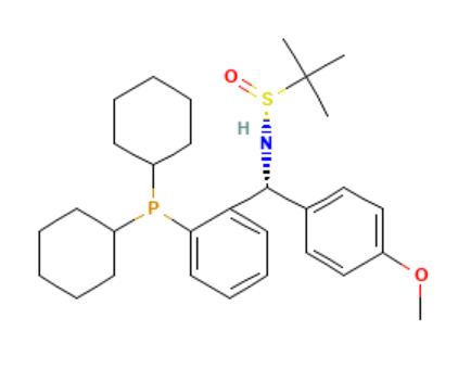 [S(R)]-N-[(R)-(4-甲氧基苯基)[2-(二環(huán)己基膦)苯基]甲基]-2-叔丁基亞磺酰胺,[S(R)]-N-[(R)-(4-Methoxyphenyl)[2-(dicyclohexylphosphino)phenyl]methyl]-2-methyl-2-propanesulfinamide