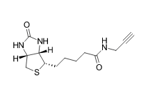 生物素炔烃,Biotin alkyne