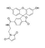 FAM馬來酰亞胺,6-異構(gòu)體,FAM maleimide, 6-isomer