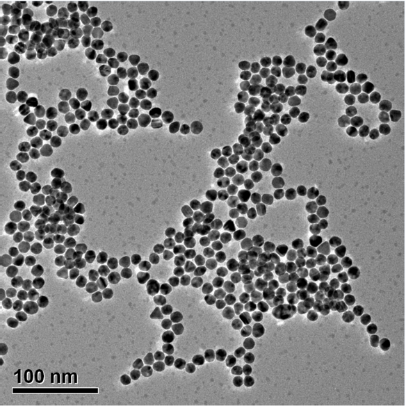 金纳米颗粒（可进行CTAB/柠檬酸钠修饰）,oil soluble Au Nanoparticles