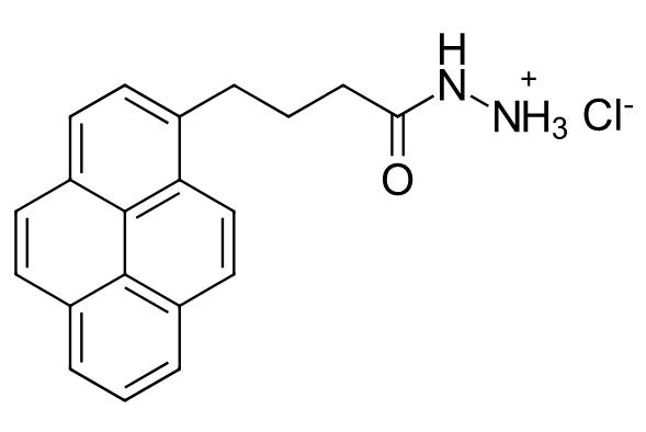 4-（1-芘基）丁酸酰肼鹽酸鹽,Pyrene hydrazide