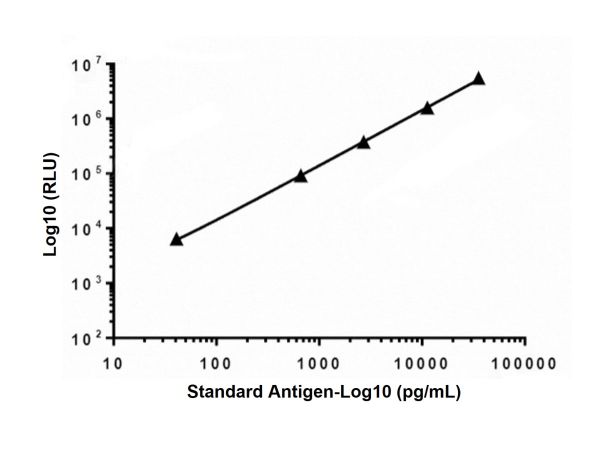 Recombinant Troponin I/TNNI3 Antibody,Recombinant Troponin I/TNNI3 Antibody