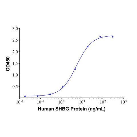 SHBG Mouse mAb,SHBG Mouse mAb