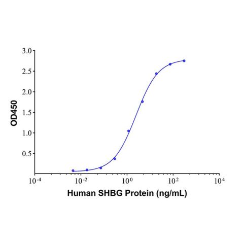 SHBG Mouse mAb,SHBG Mouse mAb